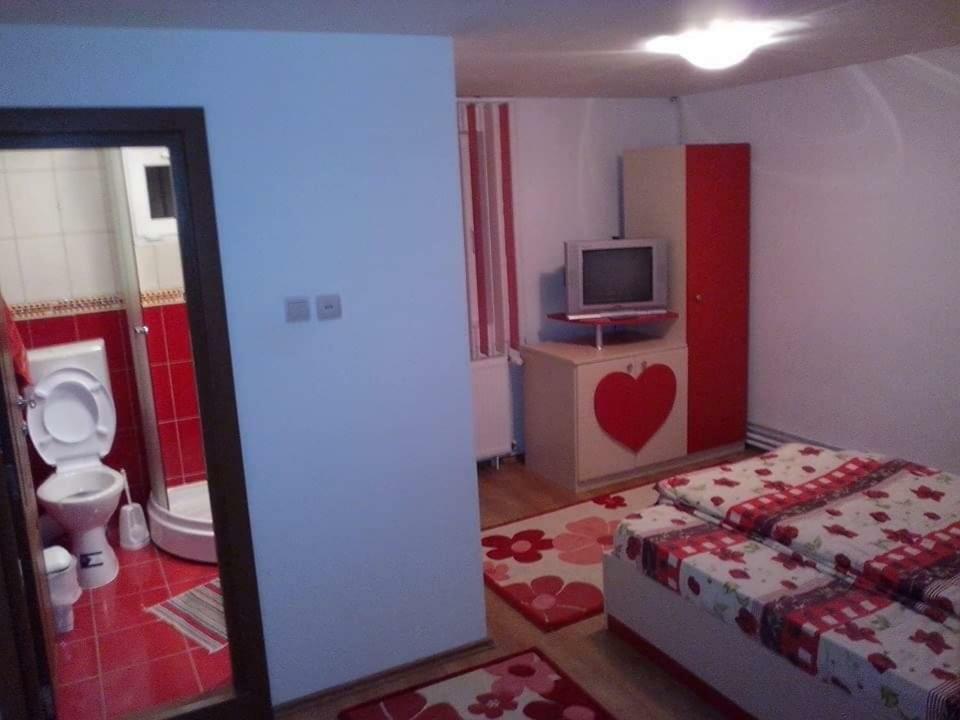 Casa Bradul Verde Бран Екстериор снимка