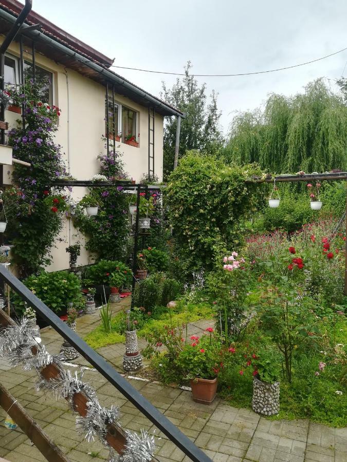 Casa Bradul Verde Бран Екстериор снимка