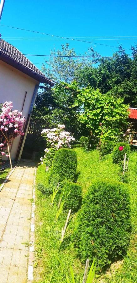 Casa Bradul Verde Бран Екстериор снимка