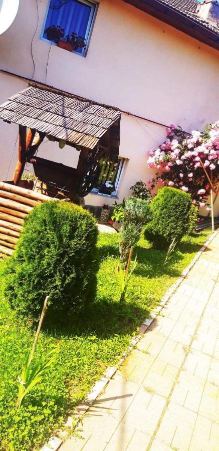 Casa Bradul Verde Бран Екстериор снимка