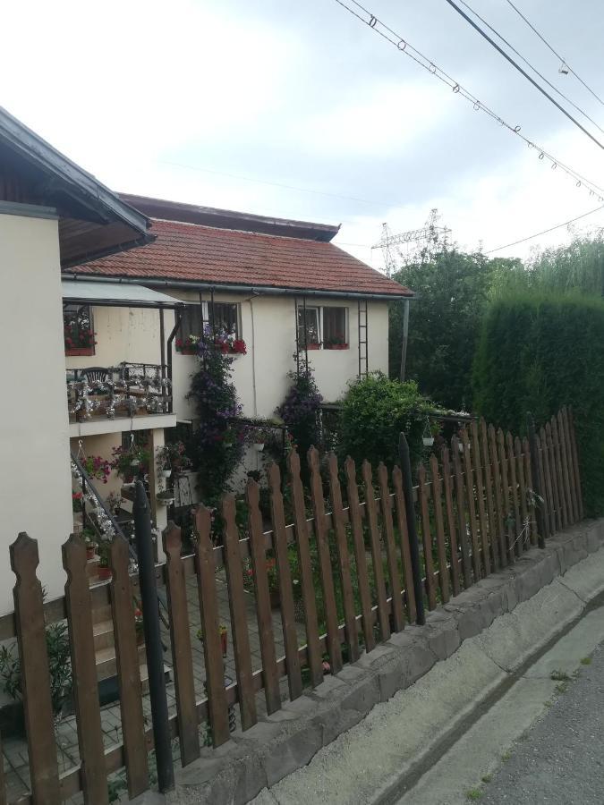 Casa Bradul Verde Бран Екстериор снимка
