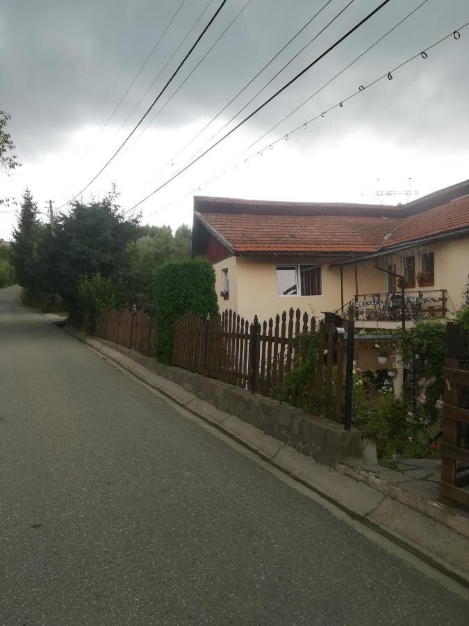 Casa Bradul Verde Бран Екстериор снимка